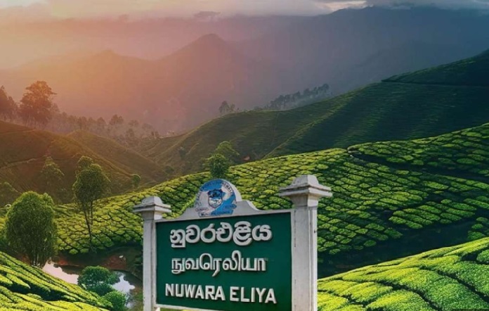 Nuwara Eliya